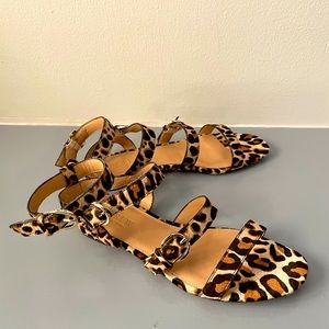 J Crew Mohair Gladiator Sandal